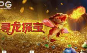 赏金国际vip登录入口正式版