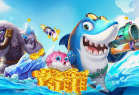 赏金国际vip登录入口正式版