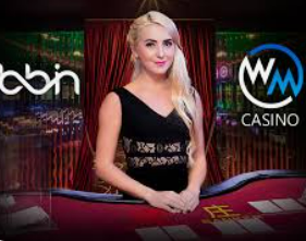 赏金国际vip登录入口最新版